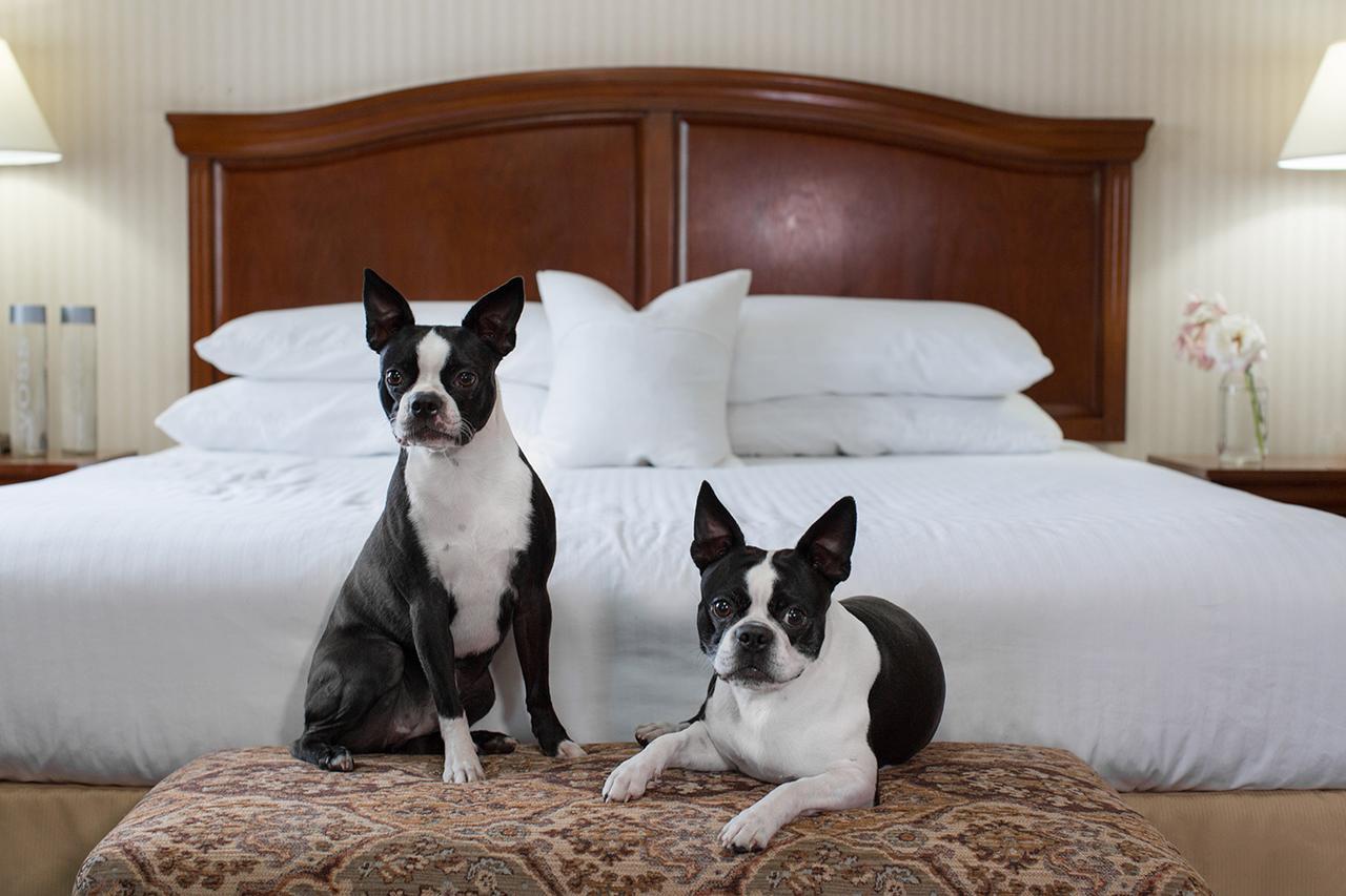 Rogue Regency Inn & Suites Medford Eksteriør bilde